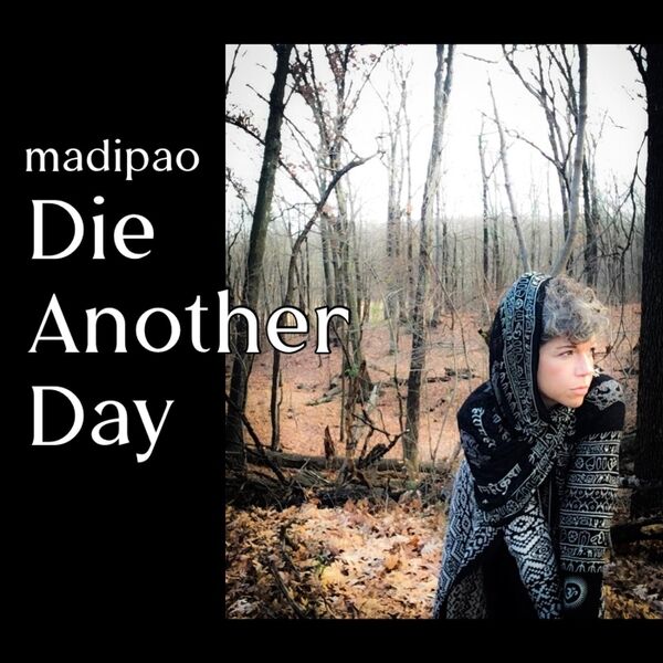 Cover art for Die Another Day